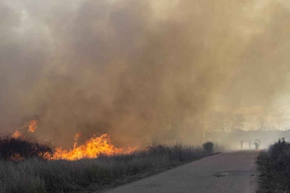 Incendio en los aledaños de El Ermitaño