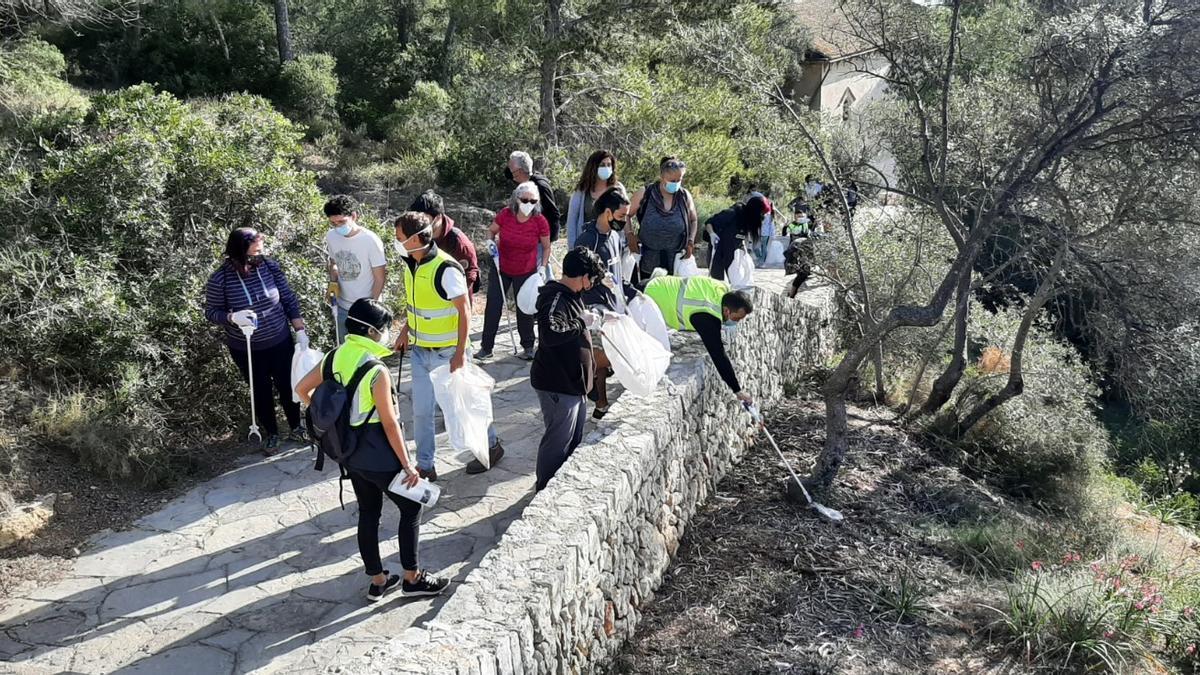 Uno de los grupos que han limpiado el bosque de Bellver.