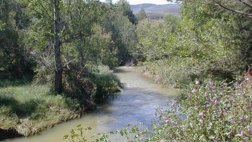 Aragón está a la cola estatal en ordenación de la biodiversidad