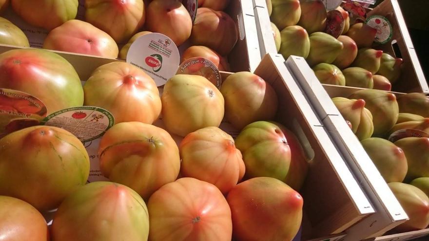 La feria del tomate de El Perelló llega cargada de novedades