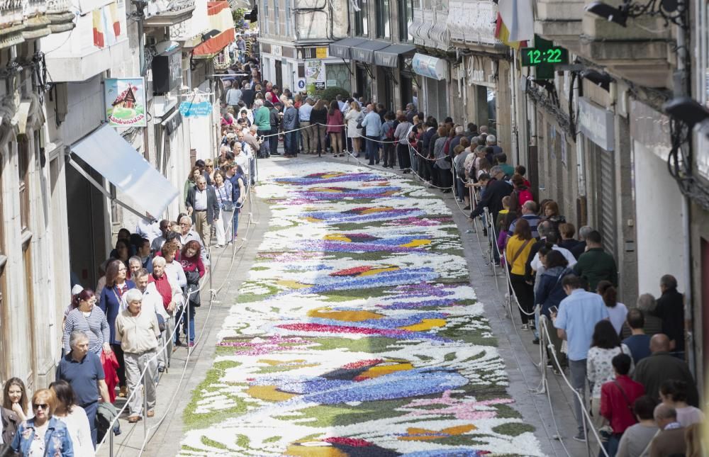 Las flores coronan el Corpus de Ponteareas.