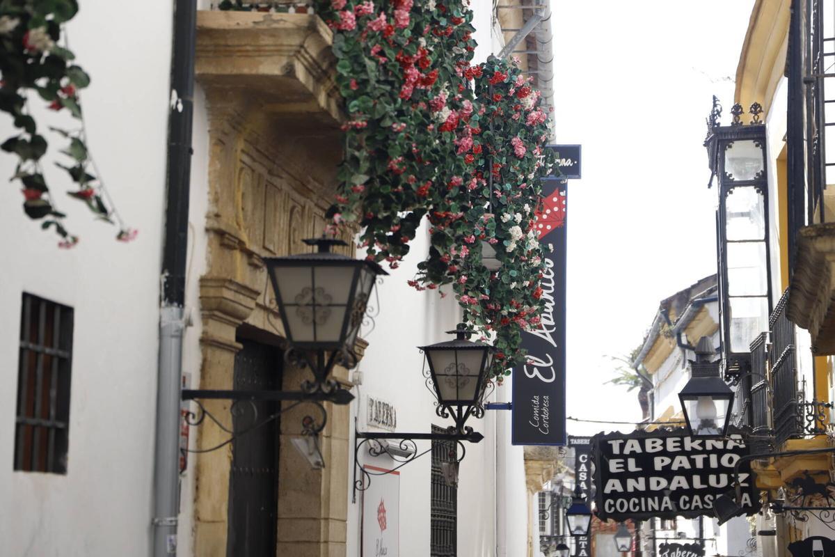 Guías turísticos y vecinos alertan de la invasión de flores de plástico en el casco histórico