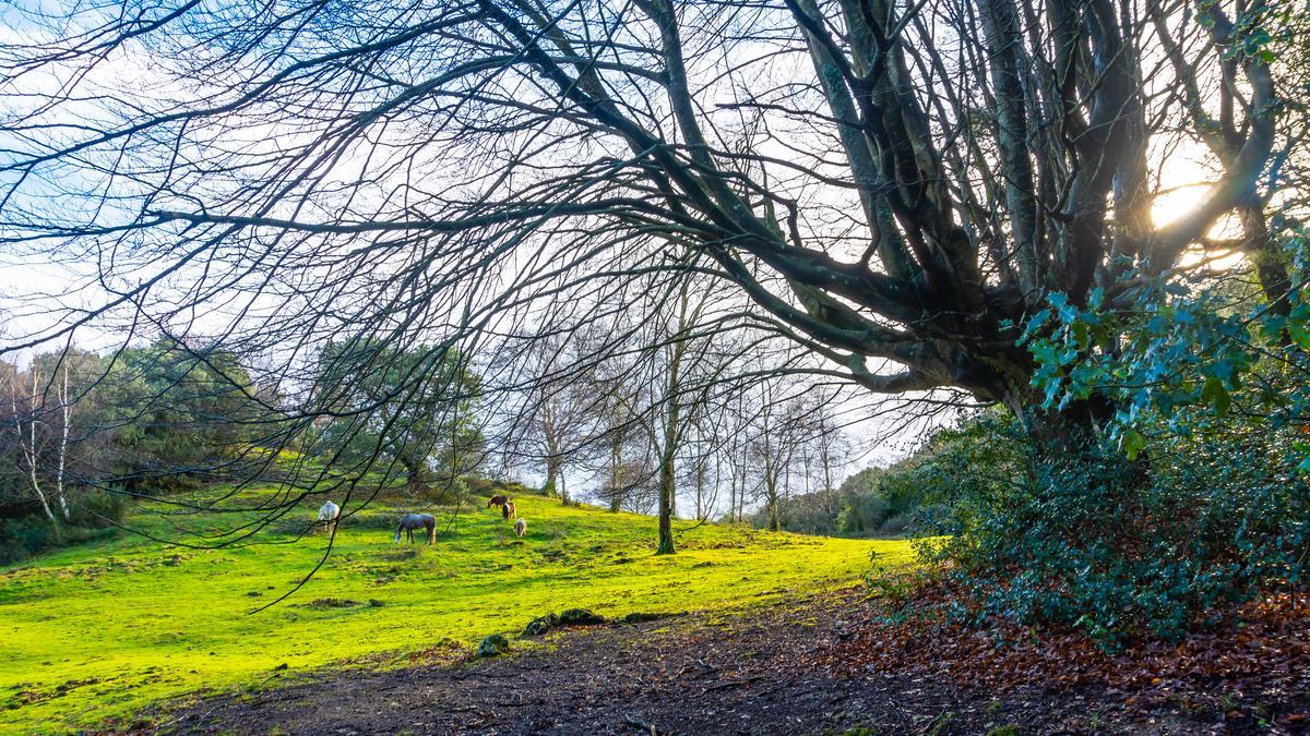 El secreto mejor guardado de Guipúzcoa: rutas inolvidables por las tierras altas del País Vasco