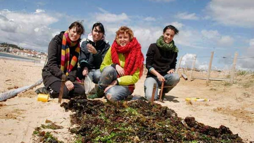 El grupo investigador que comprueba los beneficios de las algas en el arenal.
