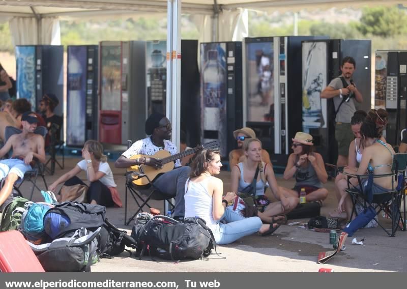 Imágenes actualizadas del Rototom Sunsplash