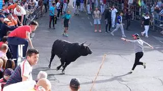 Denuncian el "espectáculo cómico taurino" con enanos que un pueblo de Zamora prepara para sus fiestas