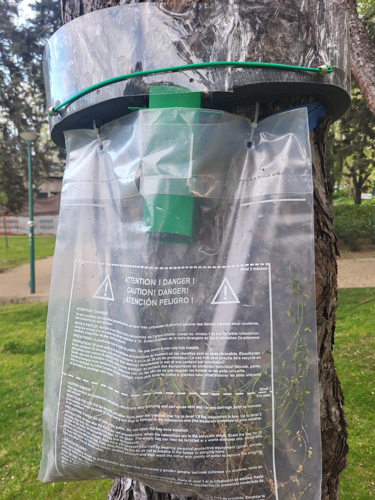 Las bolsas que han aparecido en algunos pinos de parques de Pozuelo de Alarcón