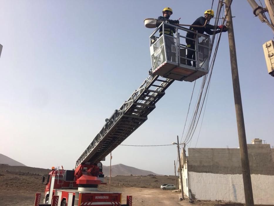 Un cenador queda colgando de un cable de luz por e