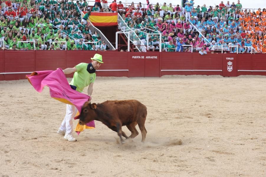 Becerrada, encierros y vaca de la sangría