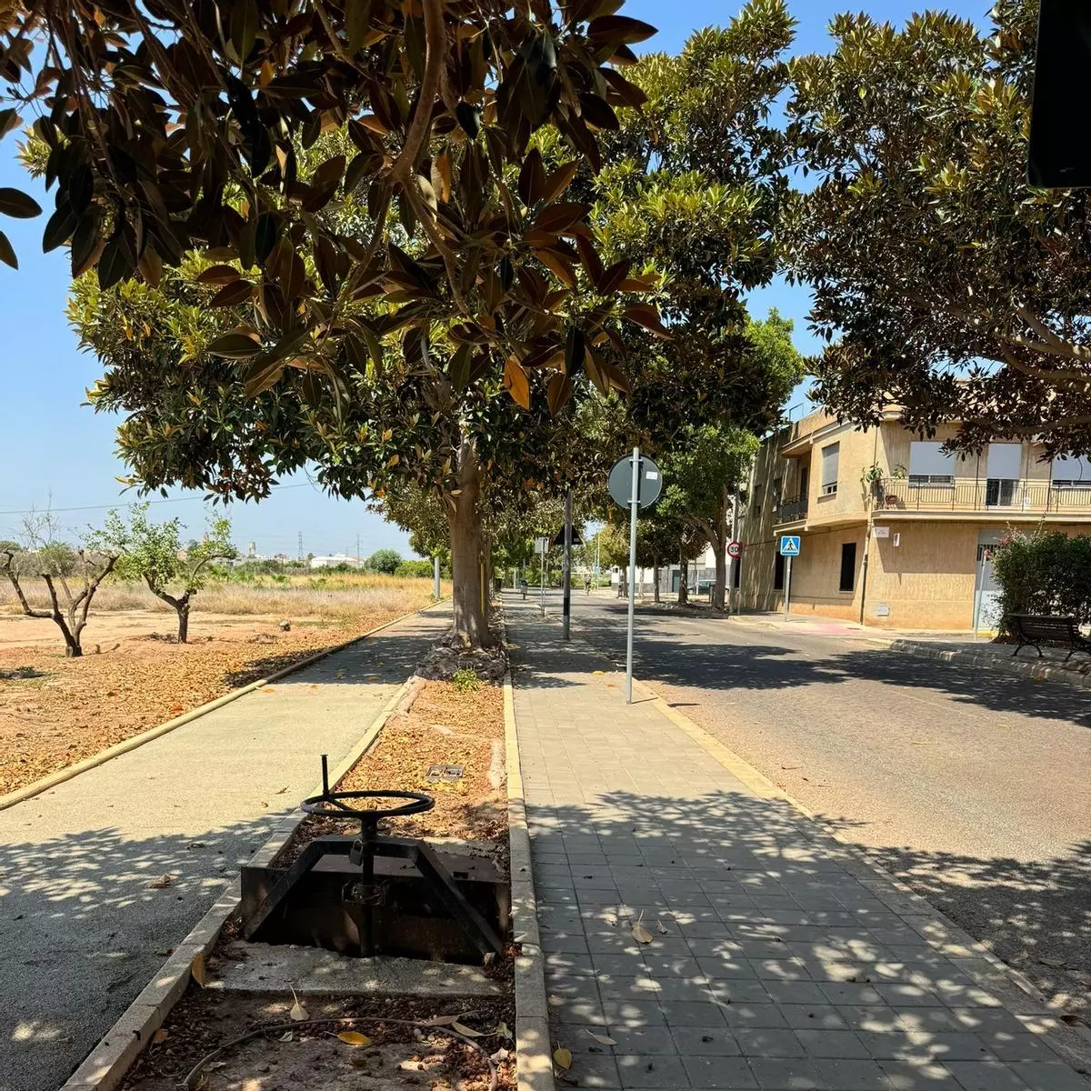 Foios licita la reurbanización del Paseo José Ros Lacruz