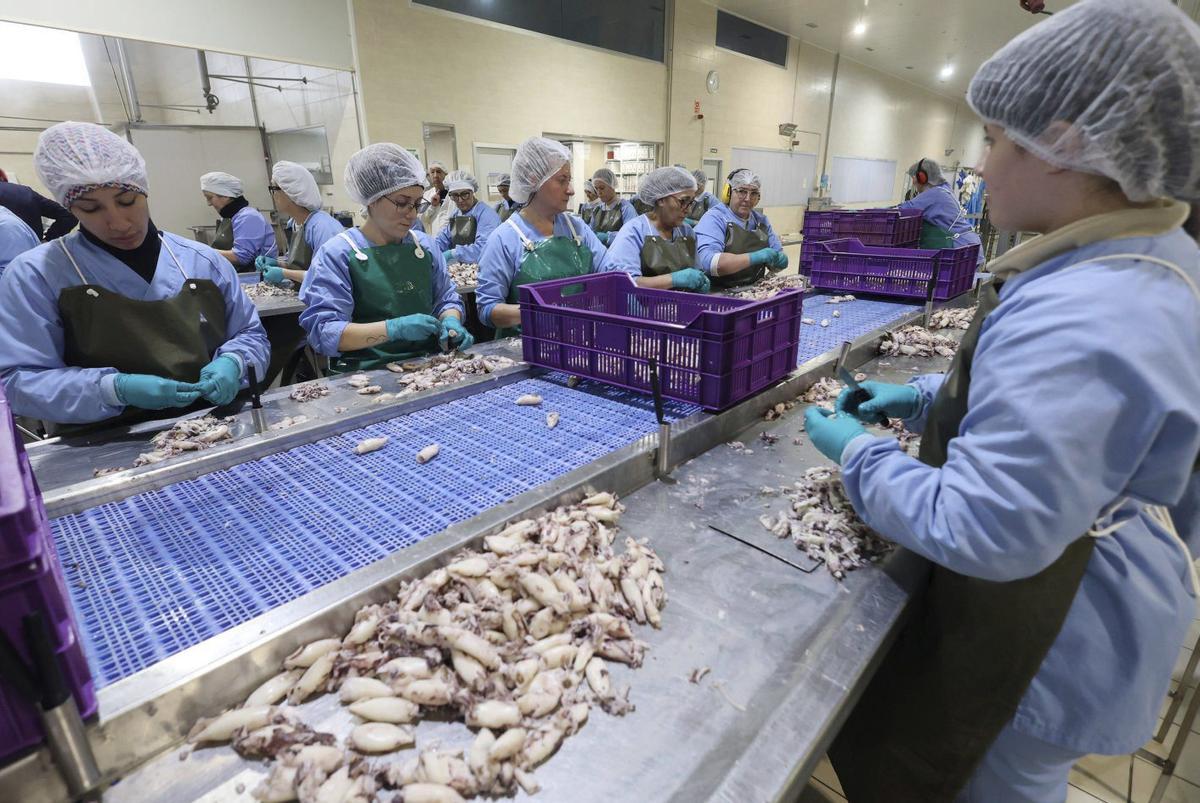 Trabajadoras en una fábrica de conservas de Ponte Caldelas.
