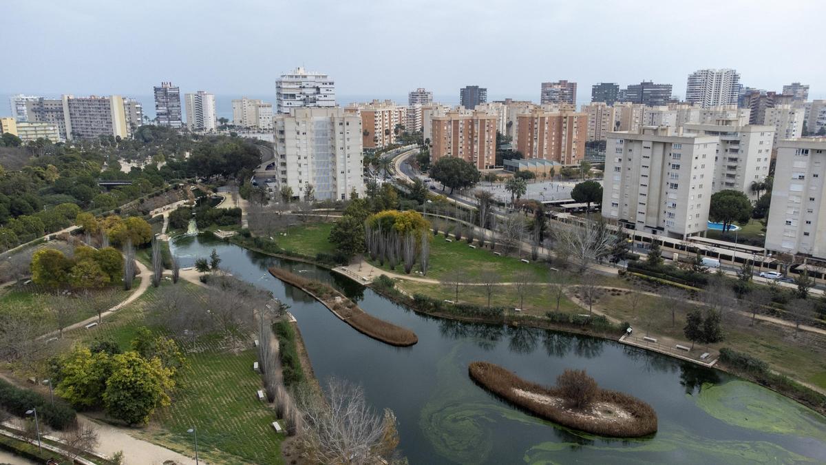 Documental sobre El Clot de Galvany en Elche y La Marjal de Alicante
