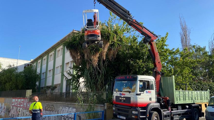 Adjudicada la limpieza, desbroce de arroyos y mantenimiento de parcelas municipales de Rincón de la Victoria