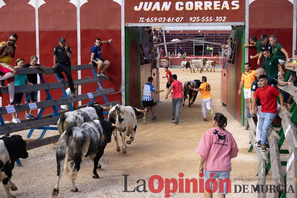 Primer encierro de la Feria del Arroz de Calasparra