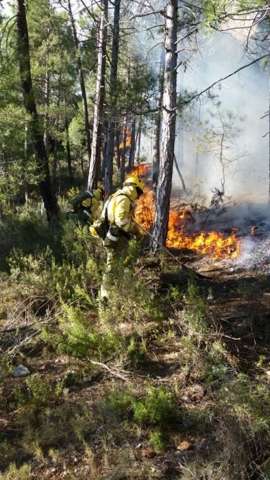 Helicóptero y bomberos de la Región colaboran en la extinción del incendio declarado en Paterna del Madera