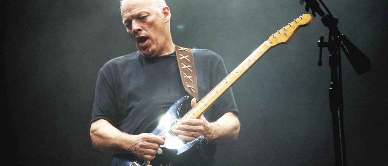 David Gilmour