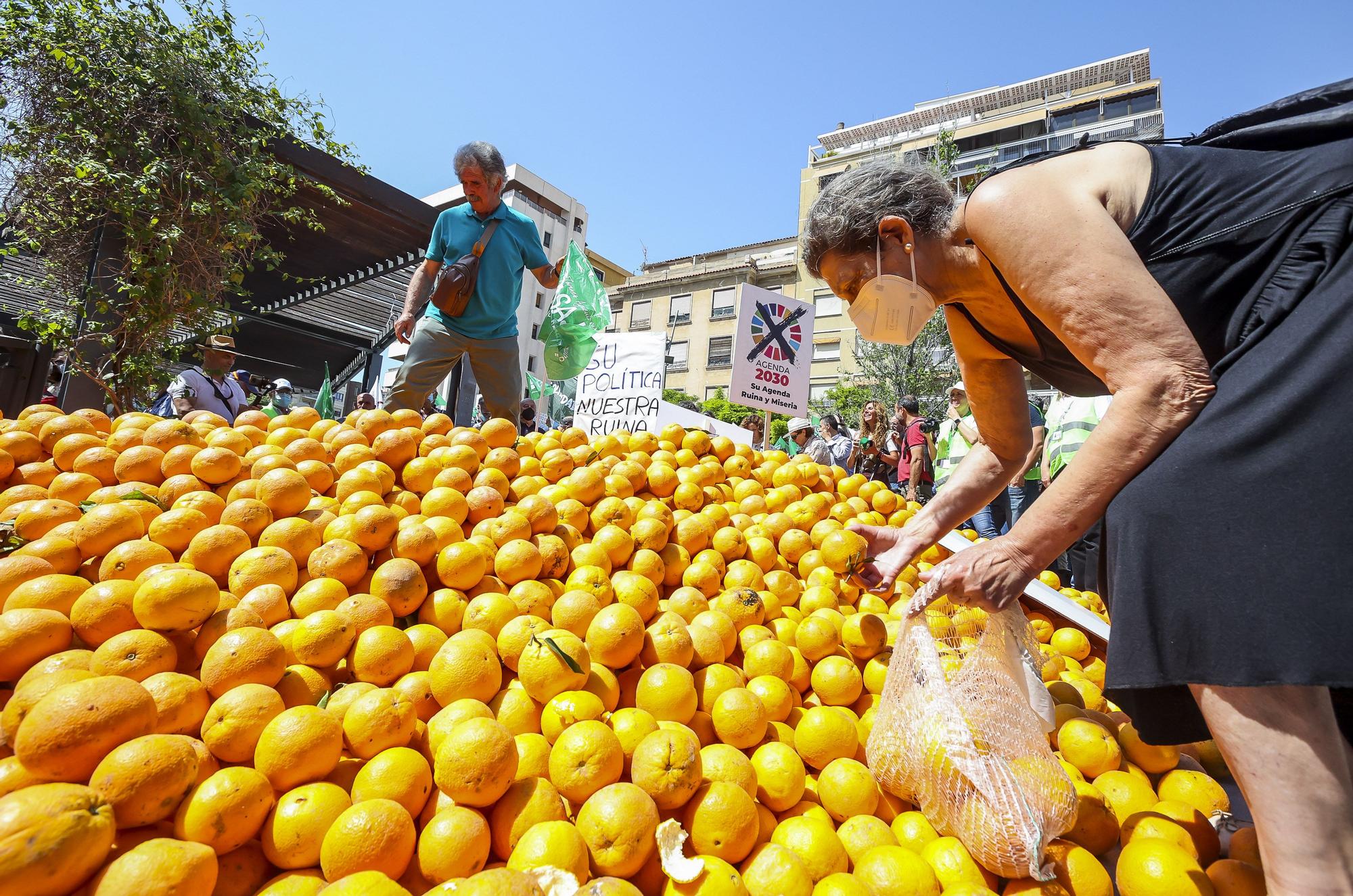 Los agricultores dictan sentencia: el recorte del Tajo-Segura nos lleva a la ruina y la clase política no ha hecho nada