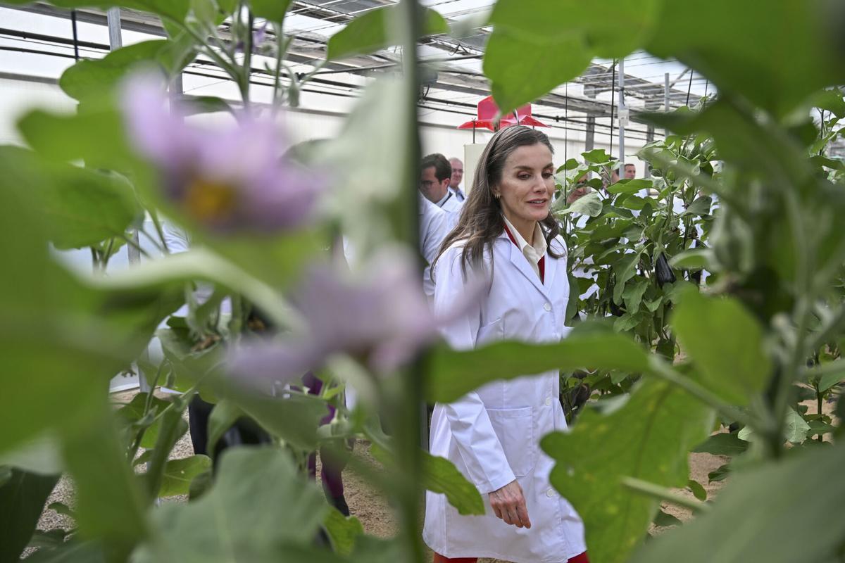 EL EJIDO (ALMERÍA), 10/03/2026.-La reina Letizia durante su visita a la Estación Experimental Cajamar Las Palmerillas, este martes en El Ejido, con motivo del 50 aniversario de un centro de investigación que contribuyó a transformar una tierra yerma en la actual huerta de Europa.- EFE/ Carlos Barba