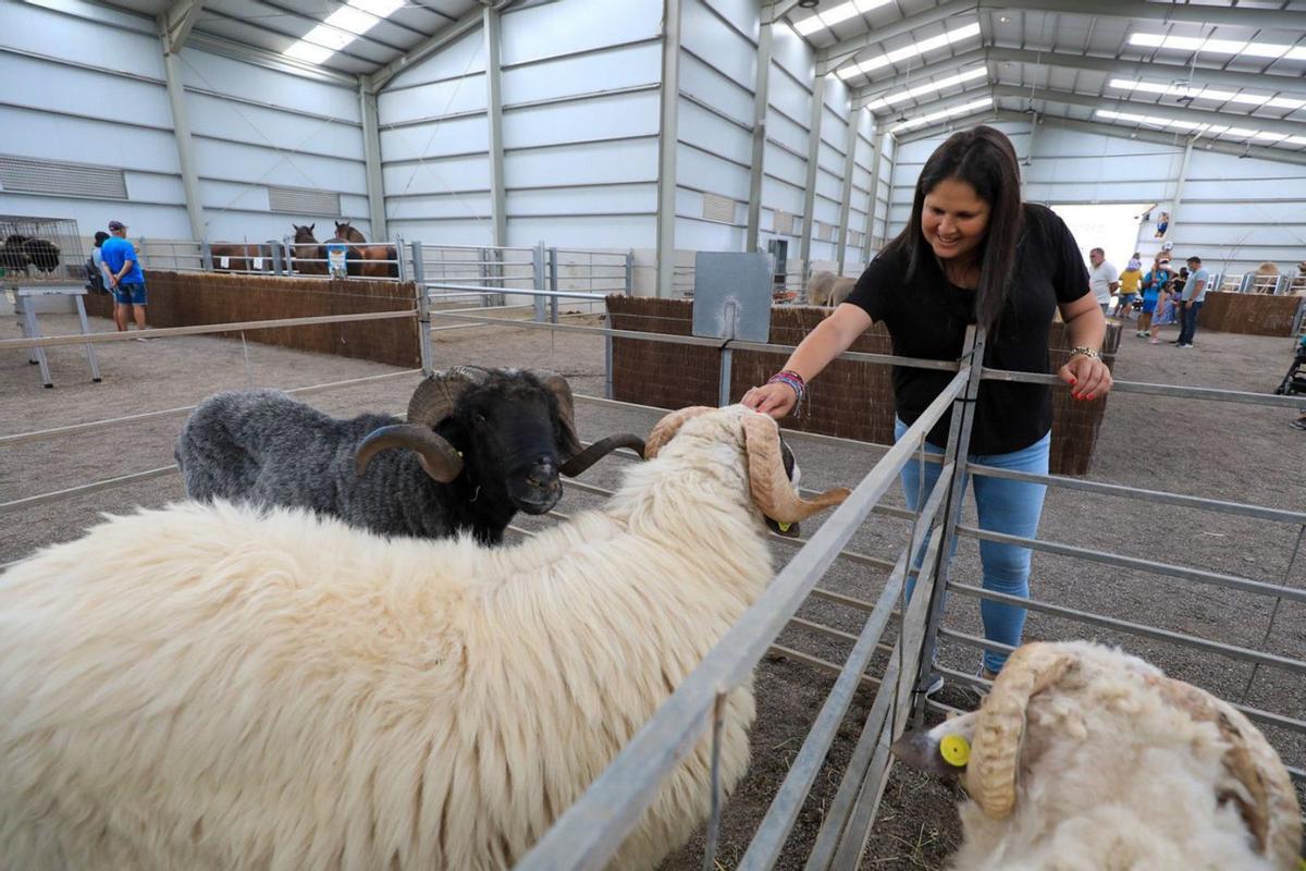 La alcaldesa de Tuineje, Esther Hernández, acaricia un enorme carnero en la recién finalizada feria Feaga.