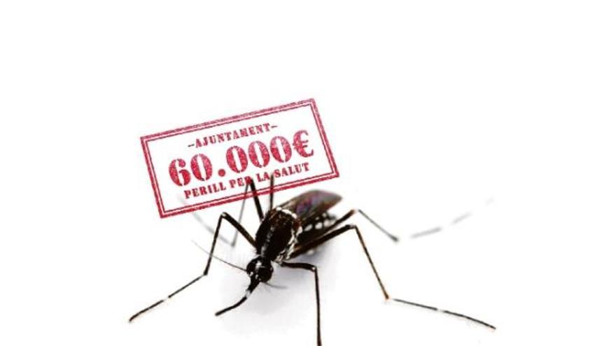 Multes de 60.000 euros per no col·laborar en la lluita contra el mosquit tigre