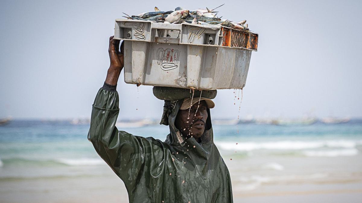 Un marinero descarga el pescado en la playa de Kayar.