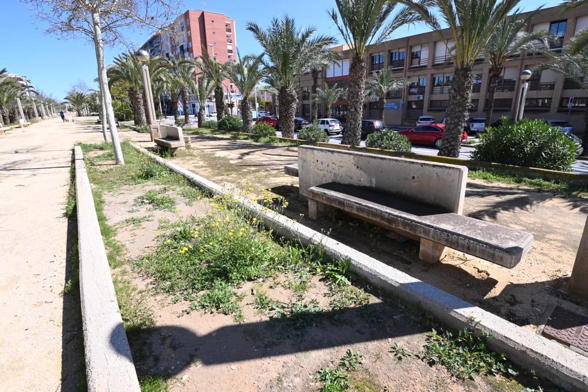 Malas hierbas y humedades en uno de los tramos del parque de la avenida de la Universidad de Elche