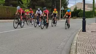 La Federación de Caza alerta a ciclistas por el aumento de los accidentes provocados por jabalíes