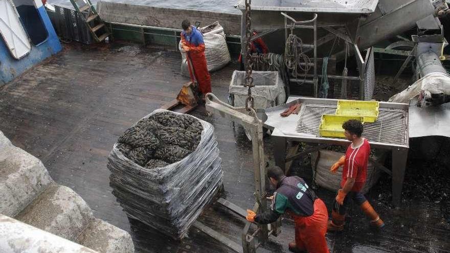 Operarios descargando mejillón, esta semana en el muelle de A Mosqueira. // Santos Álvarez