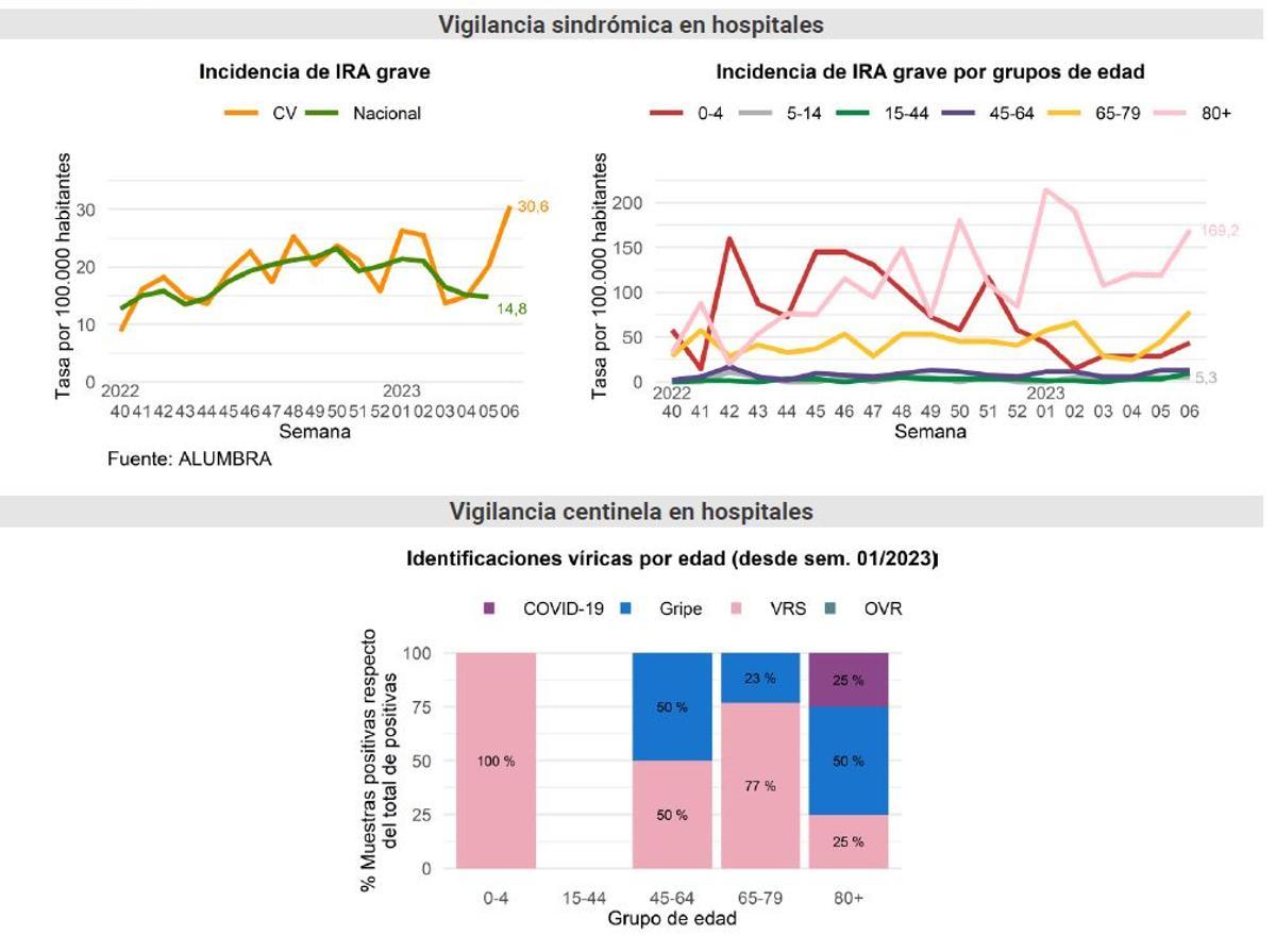 Vigilancia de los virus respiratorios en hospitales