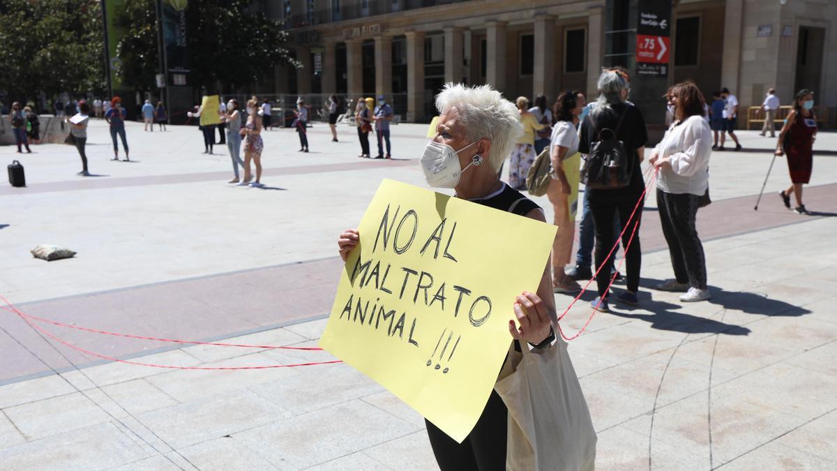 Protesta de las cuidadoras de gatos en la plaza del Pilar.