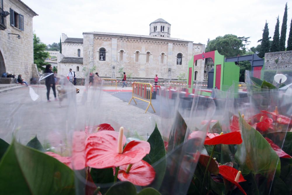 Preparatius de Temps de Flors