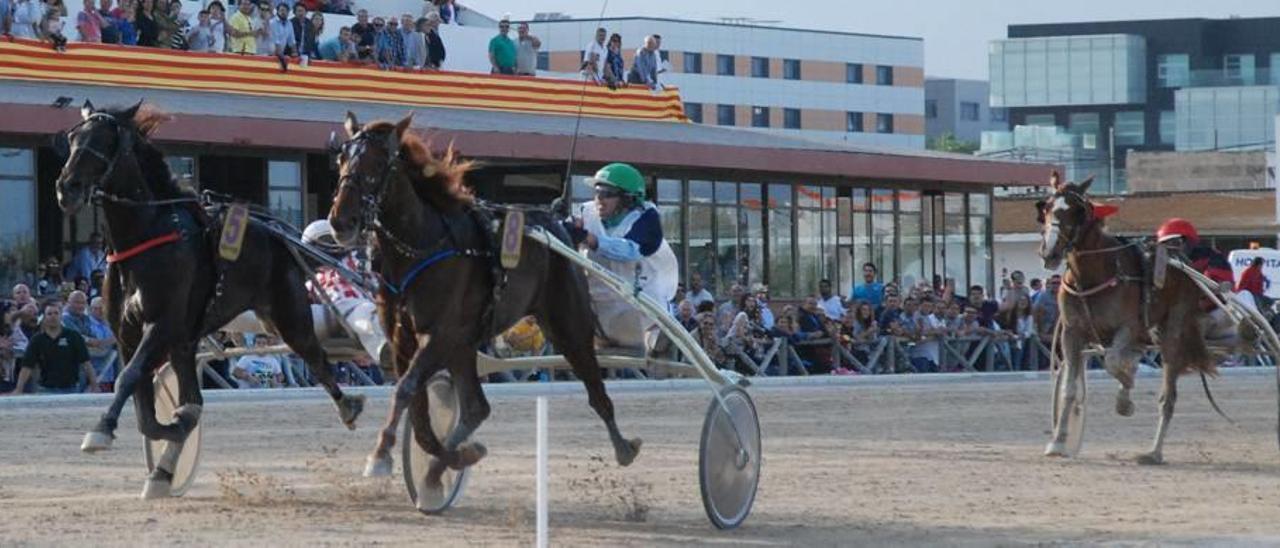 Duna de Llevant, con Toni Frontera, Dimoni des Llorer y Deco SAS en los metros finales del &#039;Gran Premi Nacional&#039; de Son Pardo.