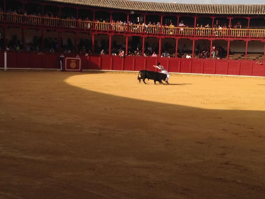 Fiestas Toro- concurso de jóvenes cortadores