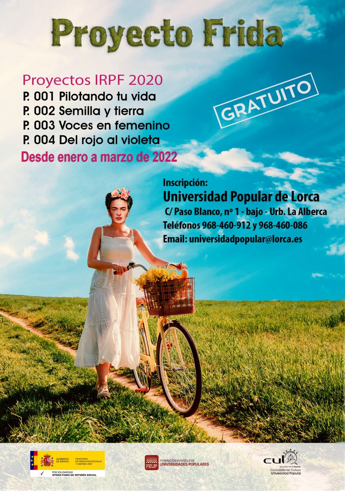 Cartel del Proyecto Frida con los cuatro programas.