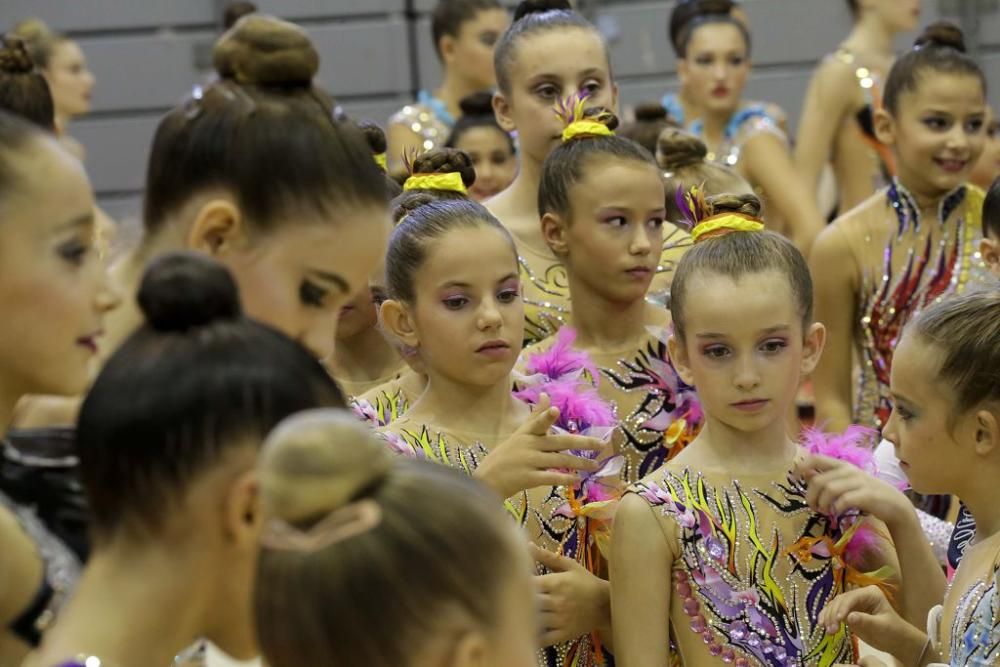 Campeonato regional de gimnasia rítmica