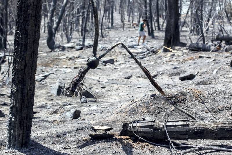 Fotogalería del incendio de las Cinco Villas