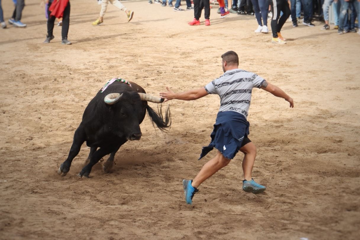 Las fotos del intenso miércoles taurino de la Fira d'Onda con seis toros