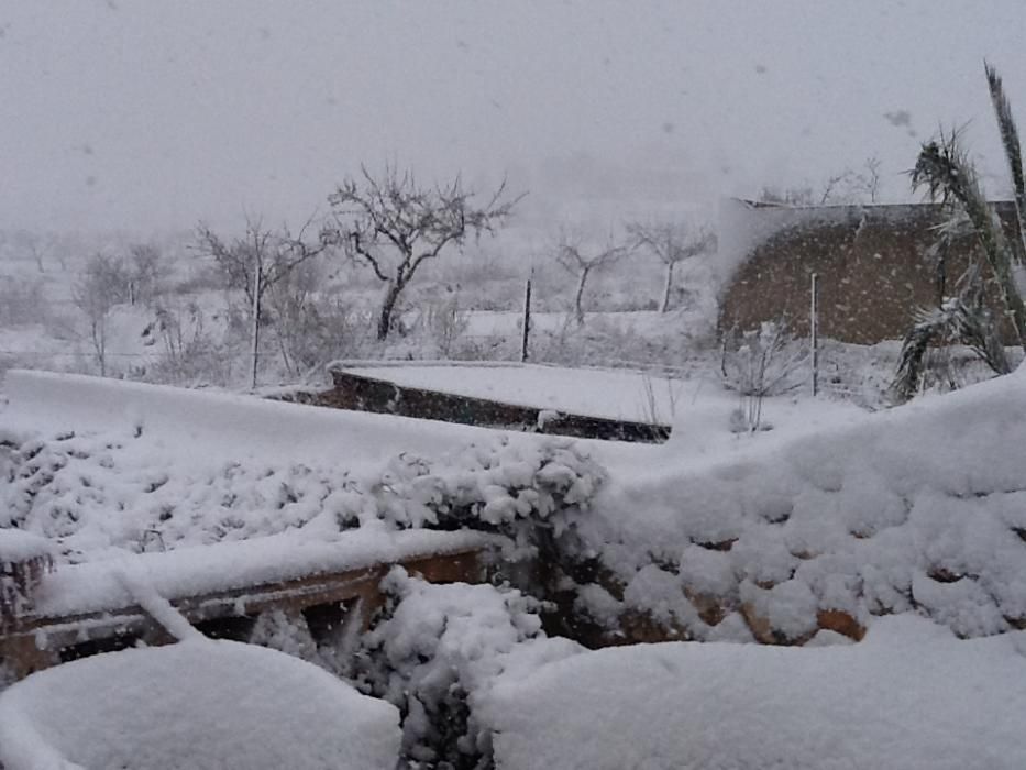 Nieve en Las Encebras, pedanía de Pinoso, este mediodía