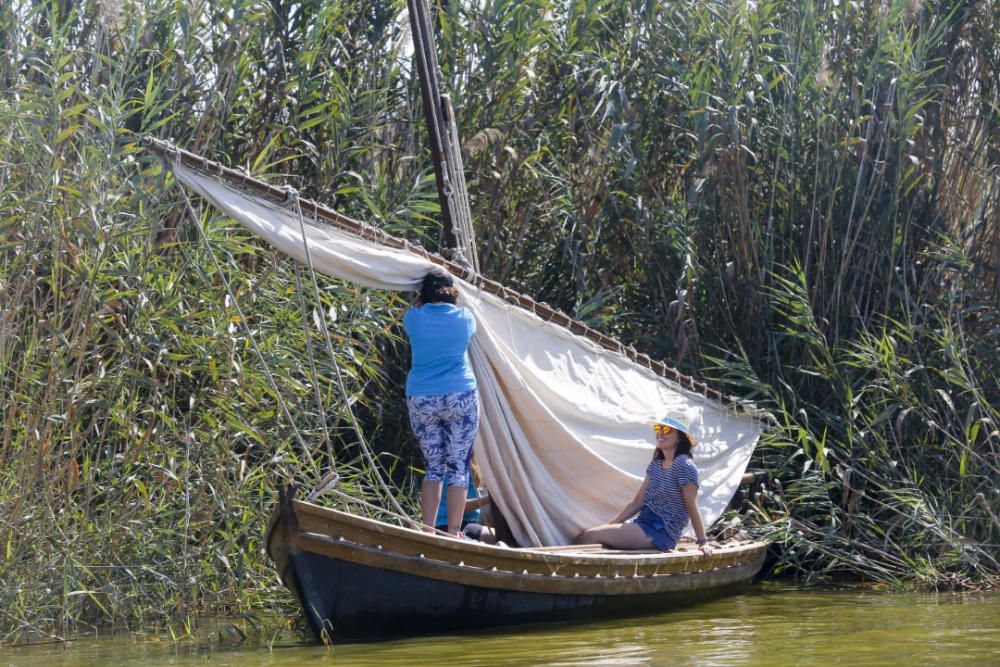 Regata-exhibición de vela latina en l'Albufera