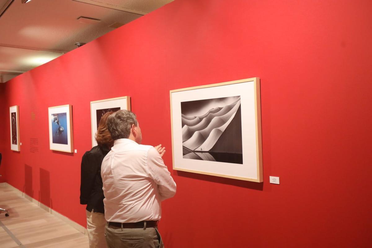 15 de las 69 fotografías de la exposición pertenecen al fotográfo zaragozano Jorge Ruiz Dueso, premiado con el 'Pin Azul', máxima condecoración en el Salón Internacional de la Fotografía.