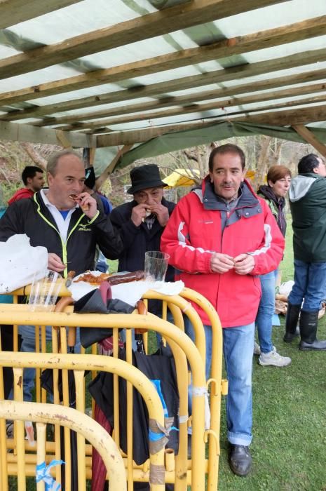 Romería en Piedracea, fiestas de la Flor de Lena