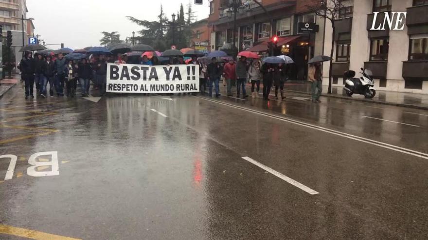 Manifestación de ganaderos en Oviedo contra la nueva normativa para aplicar los purines