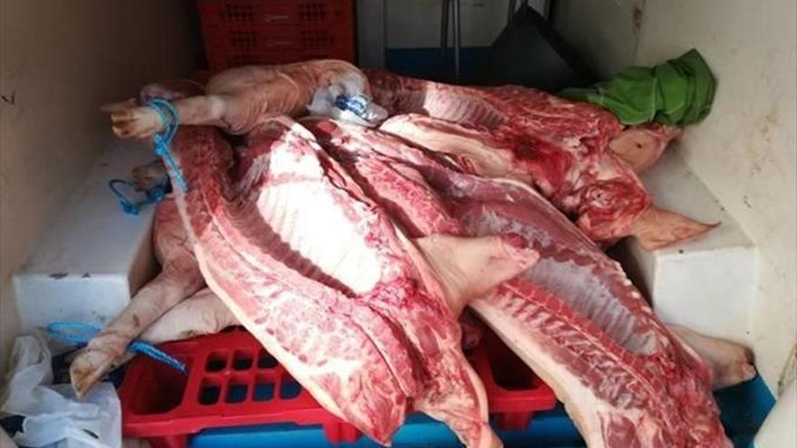 Intervenidos 400 kilos de carne sin registro sanitario