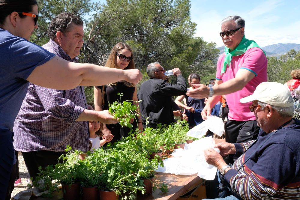 Sax celebra San Pancracio con un día de campo