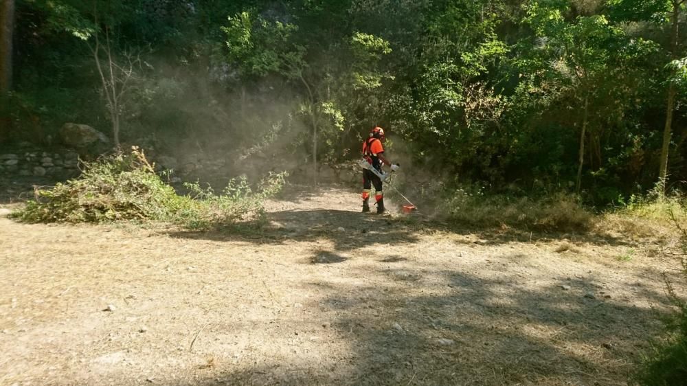 Nueva brigada forestal de Alcoy