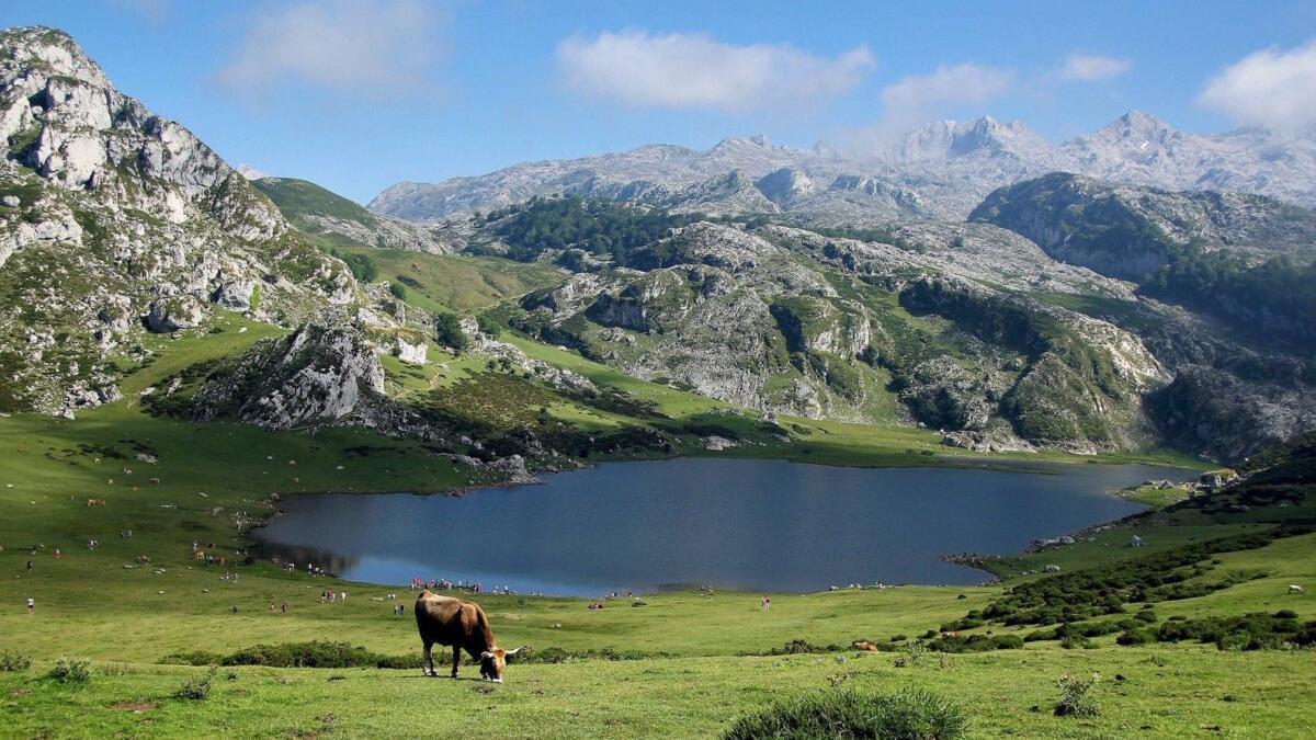 Los lagos se quedan sin oxígeno por el cambio climático