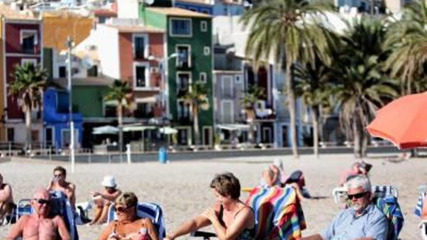 La nueva contrata de Parques  y Jardines excluye el cuidado de las palmeras de la playa Centro