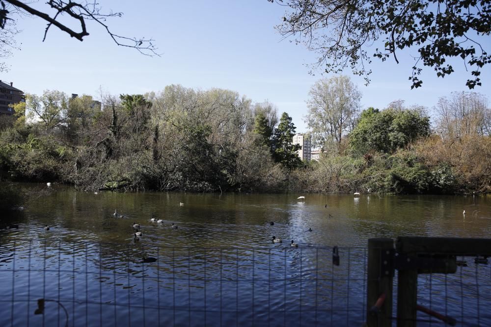 El parque Isabel la Católica supera las 600 aves