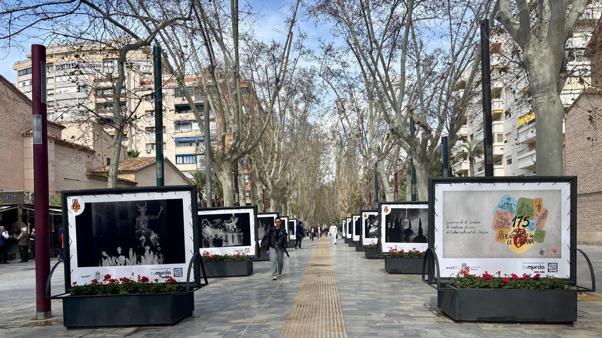 Una veintena de fotografías antiguas del Entierro de la Sardina se exponen en el paseo Alfonso X de Murcia.
