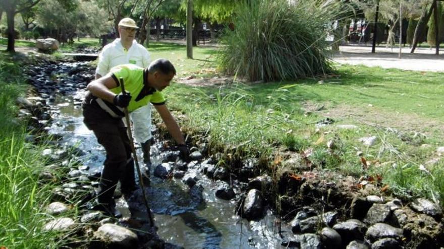 Un operario de limpieza en uno de los jardines de la capital.